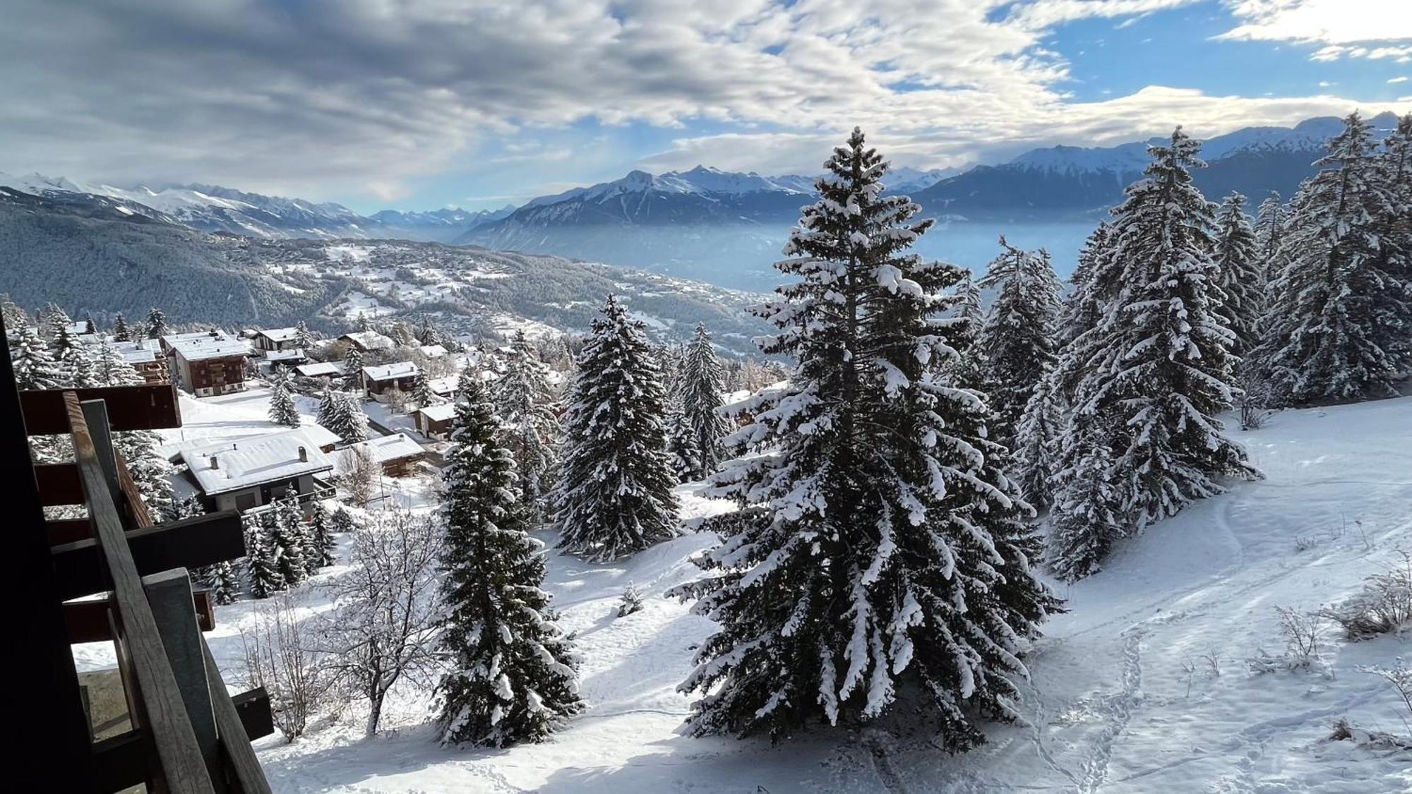 Les Cerfs - Appartement & Studio - Anzère Exteriér fotografie